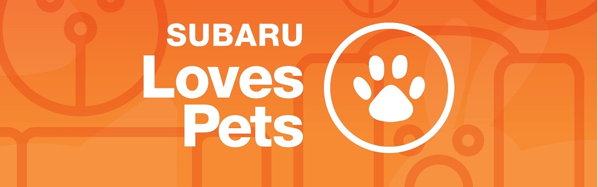 Subaru Loves Pets Month Dellenbach Subaru