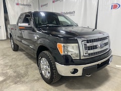 2013 Ford F-150 Truck SuperCab Styleside