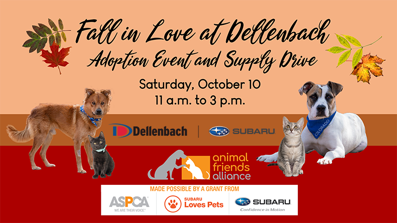 Fall In Love At Dellenbach Subaru Dellenbach Subaru