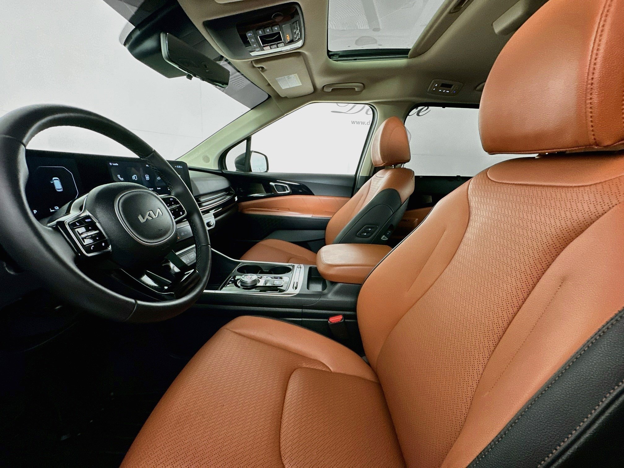 2025 Kia Carnival 19