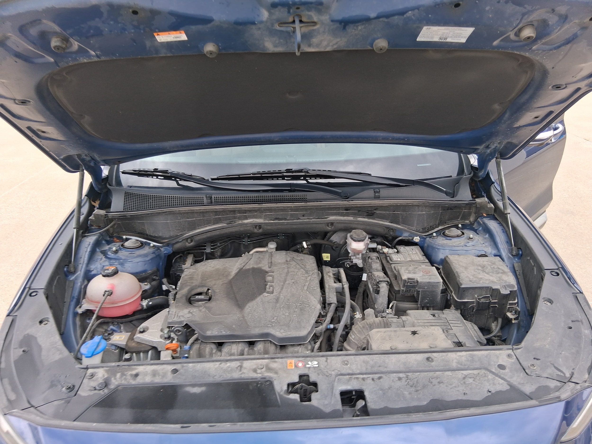 2023 Hyundai Santa Fe SEL - Photo 10