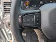 2026 Ram 3500 LIMITED MEGA CAB 4X4 6'4 BOX Pickup