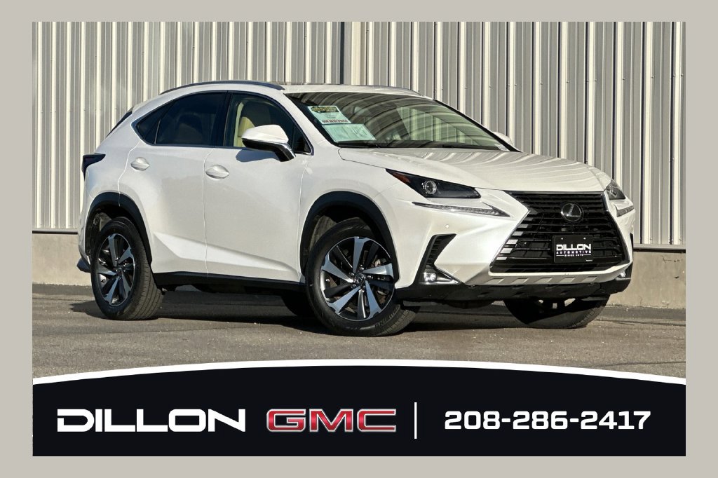 2019 Lexus NX