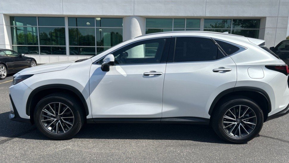 2023 Lexus NX 350h photo 2