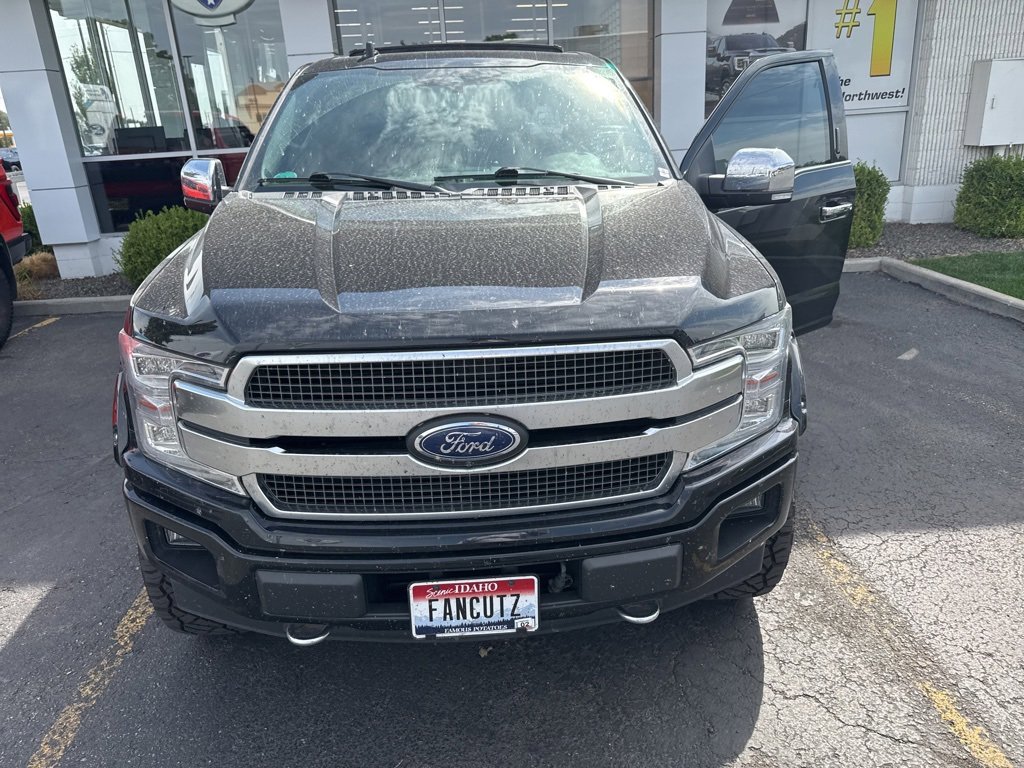 2019 Ford F-150 Platinum photo 3