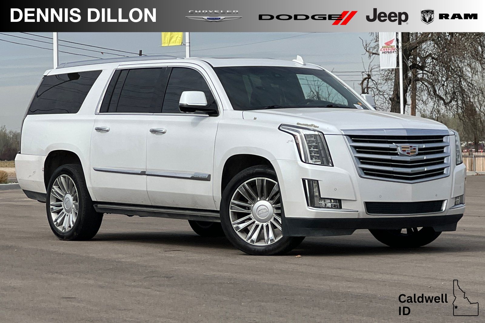 2016 Cadillac Escalade ESV 2WD Platinum's photo