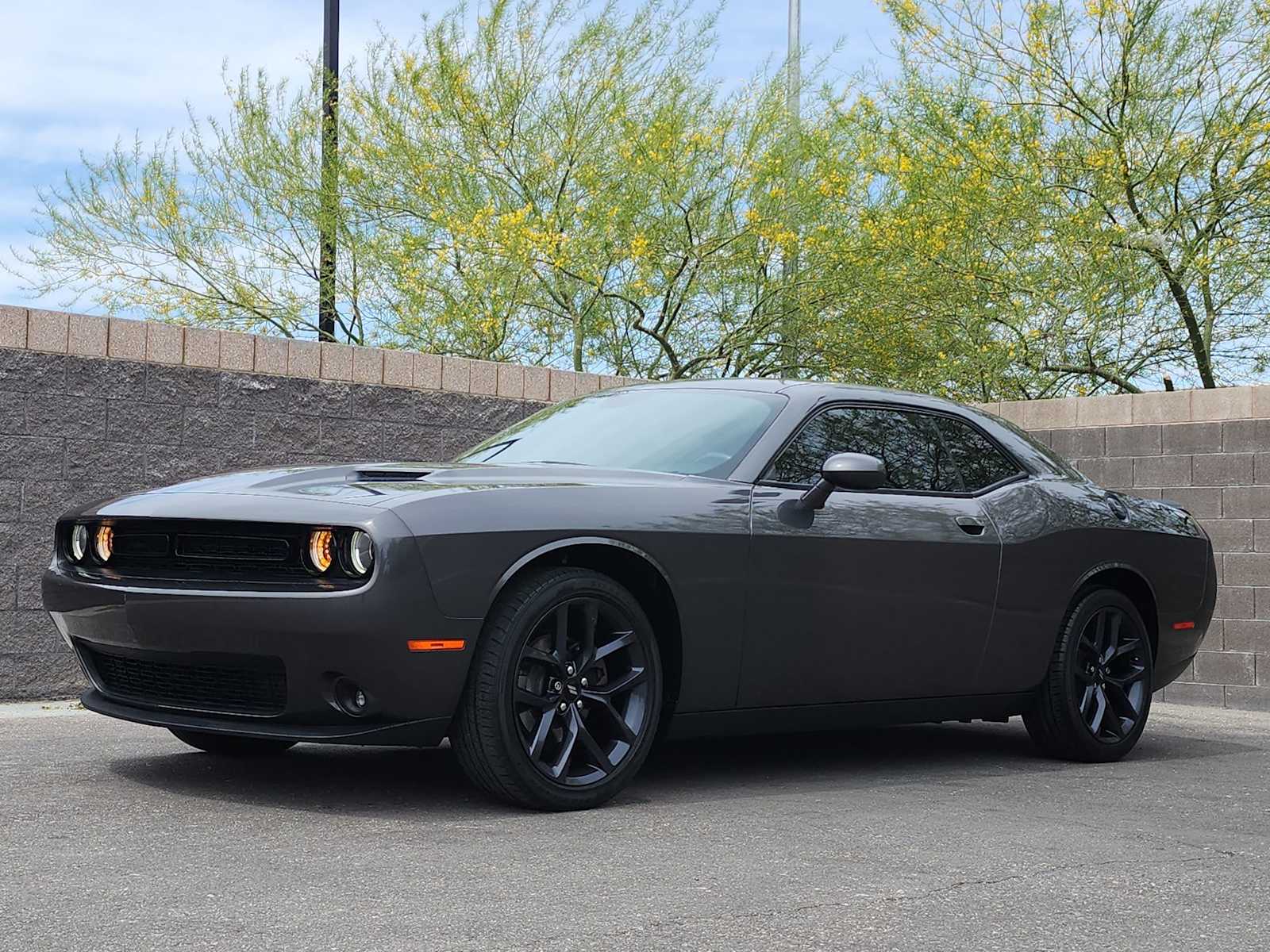 Thumbnail: 2019 Dodge Challenger - 5