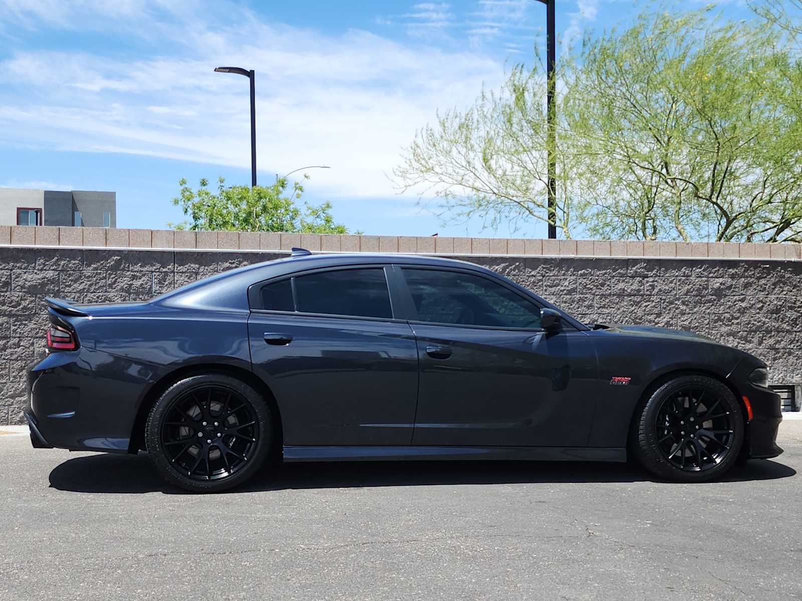 Thumbnail: 2019 Dodge Charger - 10