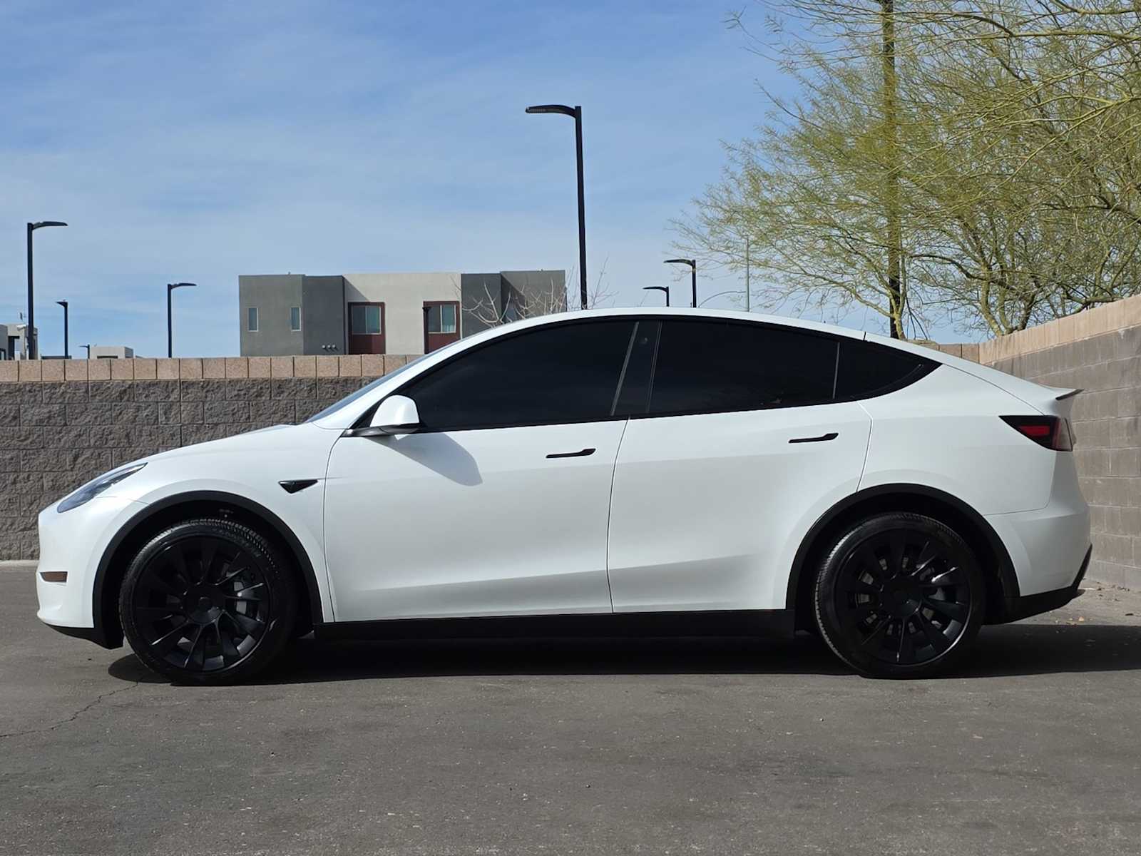 Thumbnail: 2023 Tesla Model Y - 6