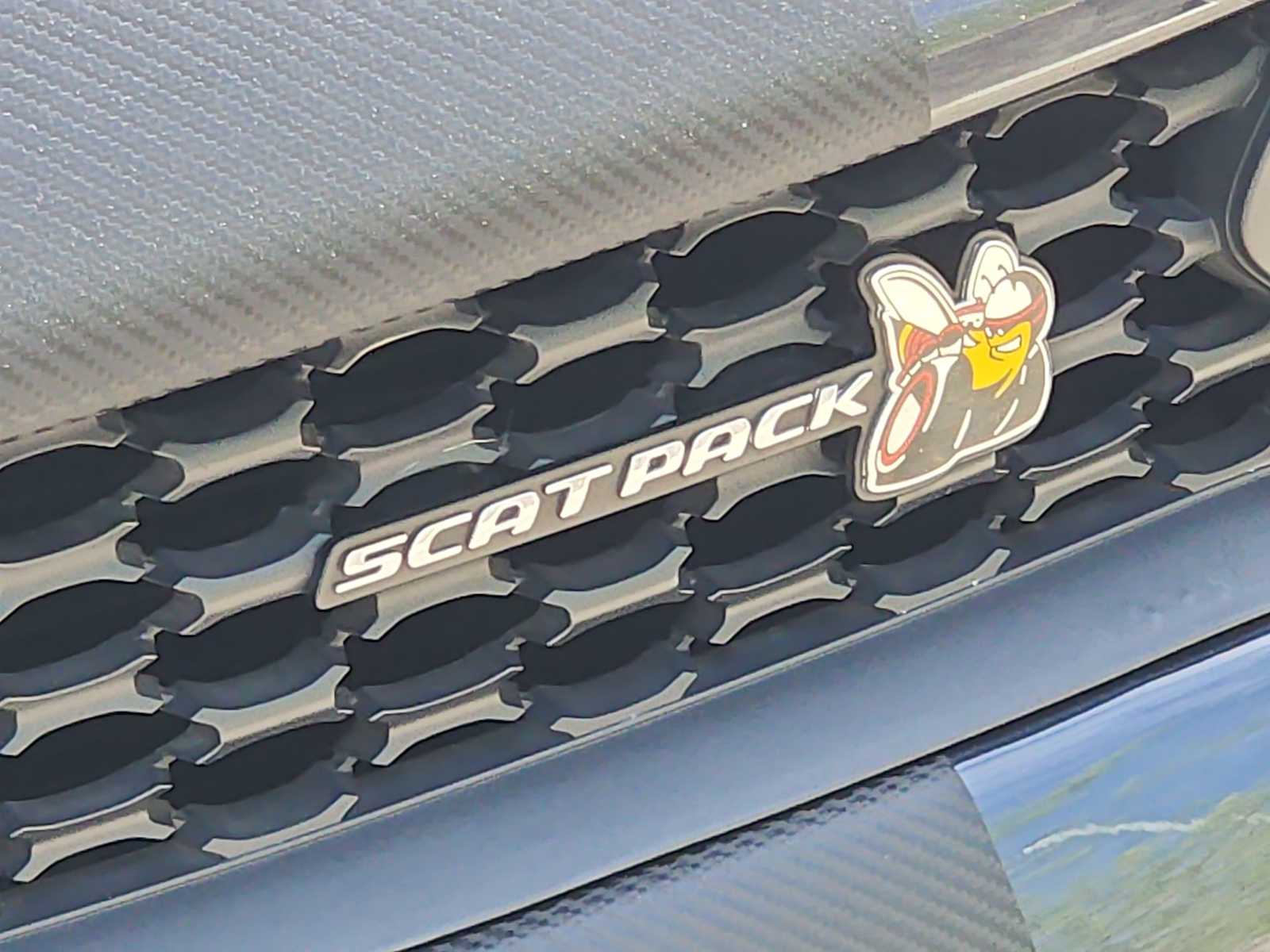 Thumbnail: 2019 Dodge Charger - 11