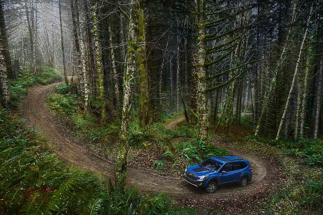 vue en survol d'une Subaru Forester 2023 sur un sentier en forêt