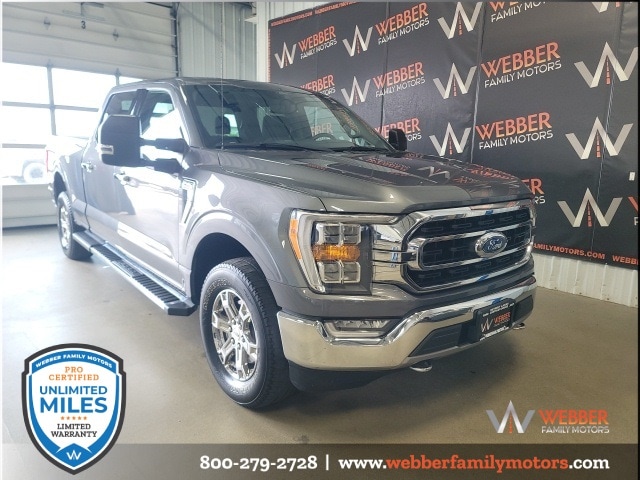 Used 2021 Ford F-150 XLT with VIN 1FTFW1E89MFB28284 for sale in Detroit Lakes, Minnesota