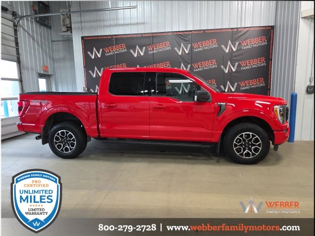 Used 2023 Ford F-150 XLT with VIN 1FTFW1E82PKD17693 for sale in Detroit Lakes, Minnesota