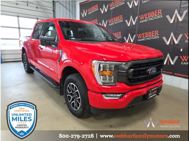 Used 2023 Ford F-150 XLT with VIN 1FTFW1E82PKD17693 for sale in Detroit Lakes, Minnesota