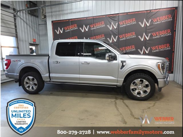 Used 2021 Ford F-150 Platinum with VIN 1FTFW1E81MFA60627 for sale in Detroit Lakes, Minnesota