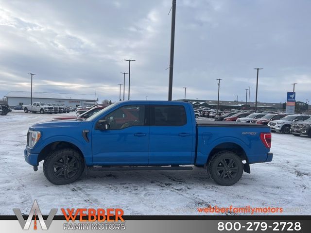 2021 Ford F-150 XLT's photo