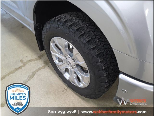 2021 Ford F-150 Platinum photo 3