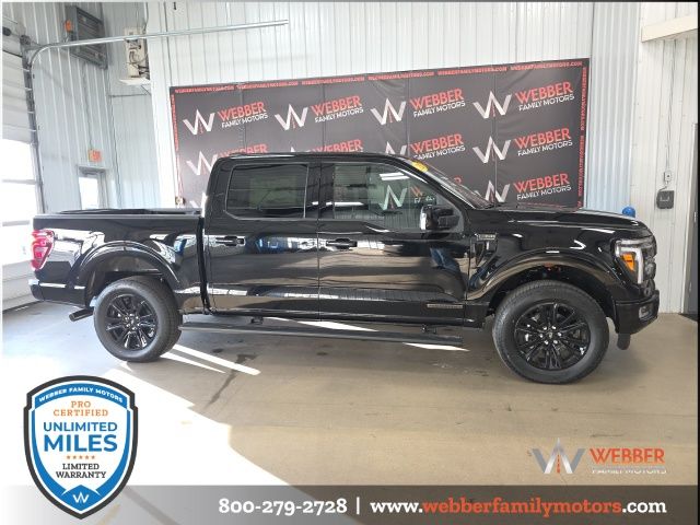 2025 Ford F-150 Platinum photo 3