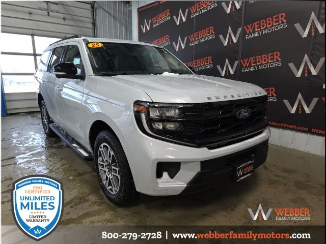 2025 Ford Expedition Active's photo