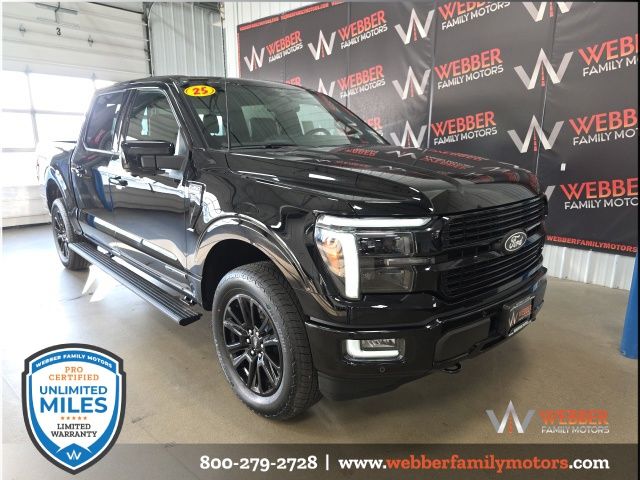 2025 Ford F-150 Platinum's photo