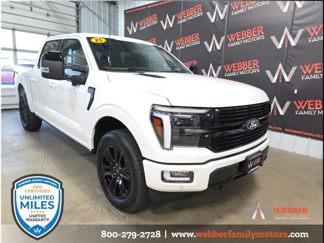 2025 Ford F-150 Platinum's photo