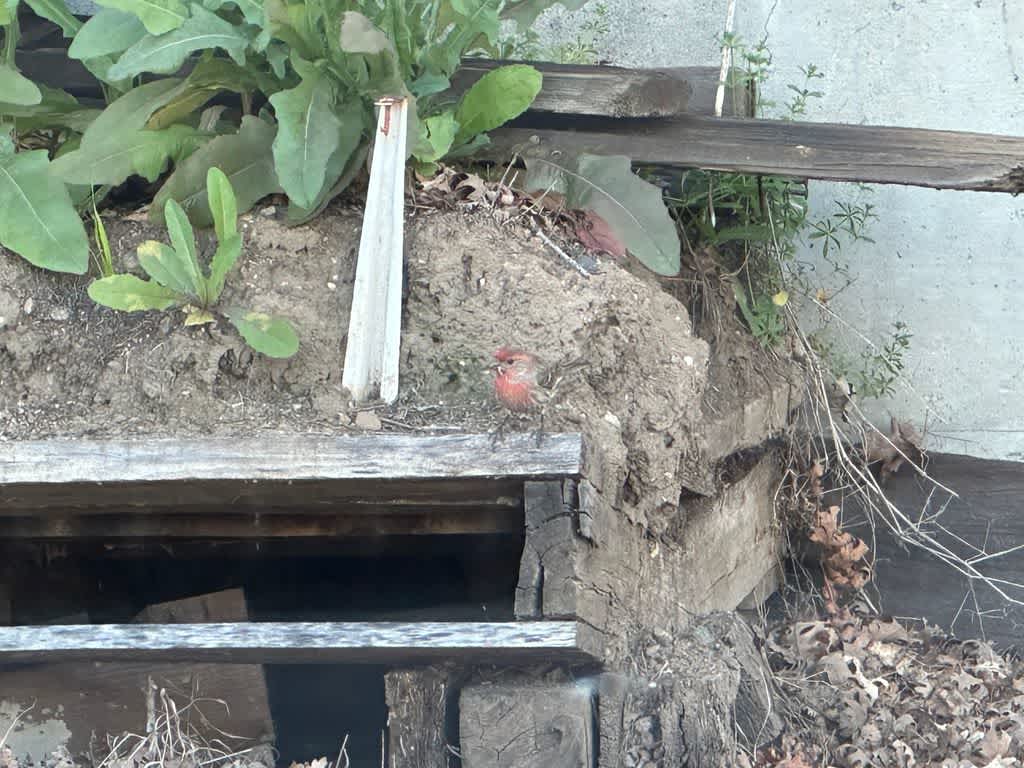 Thumbnail: 2023 Subaru Outback - 16