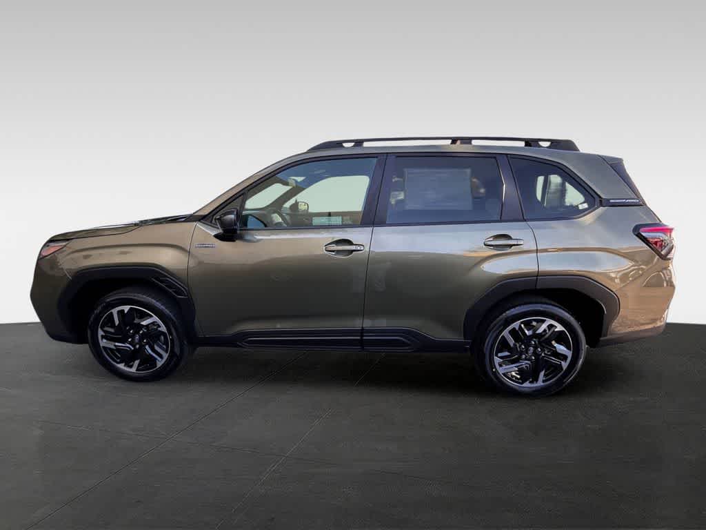 Thumbnail: 2026 Subaru Forester - 4