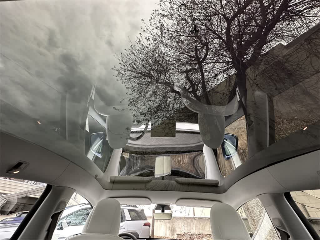 Thumbnail: 2021 Tesla Model Y - 13