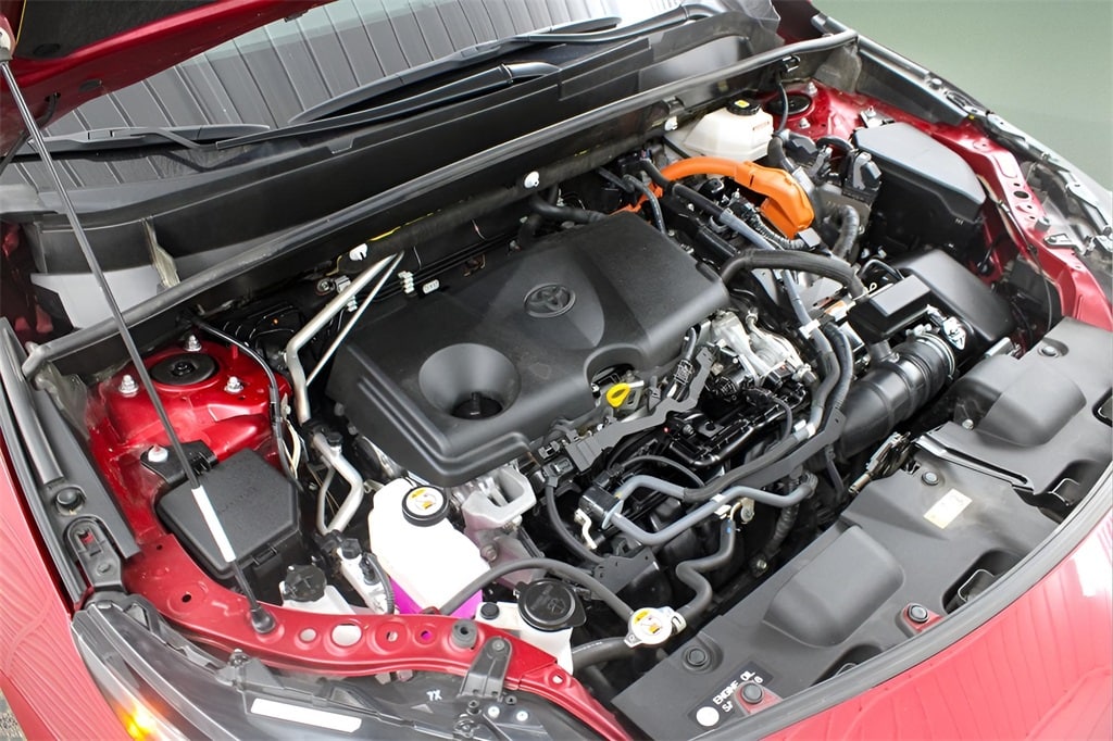View 25