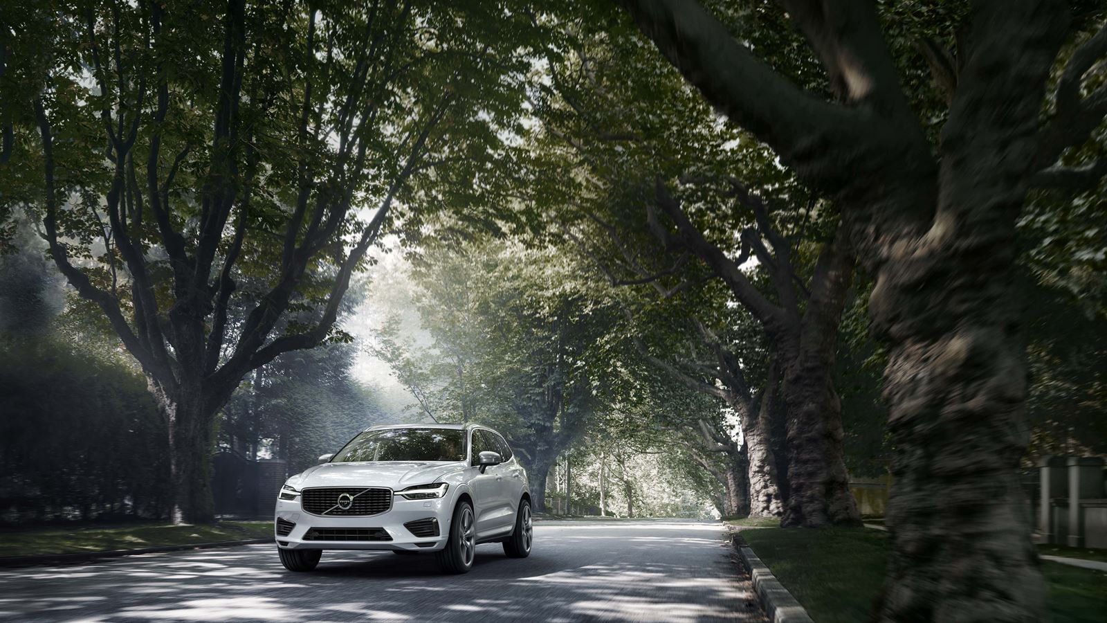 Dick Dyer Volvo Cars New Vehicles Volvo Dealership In Columbia Sc