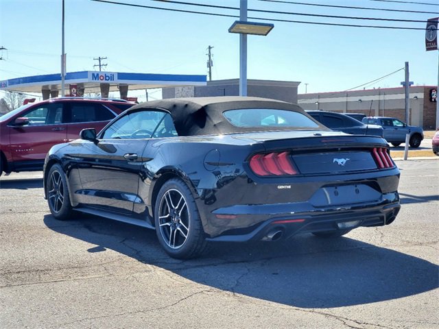 2022 Ford Mustang EcoBoost photo 3