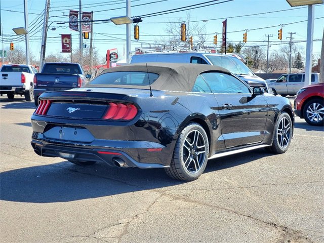 2022 Ford Mustang EcoBoost photo 4