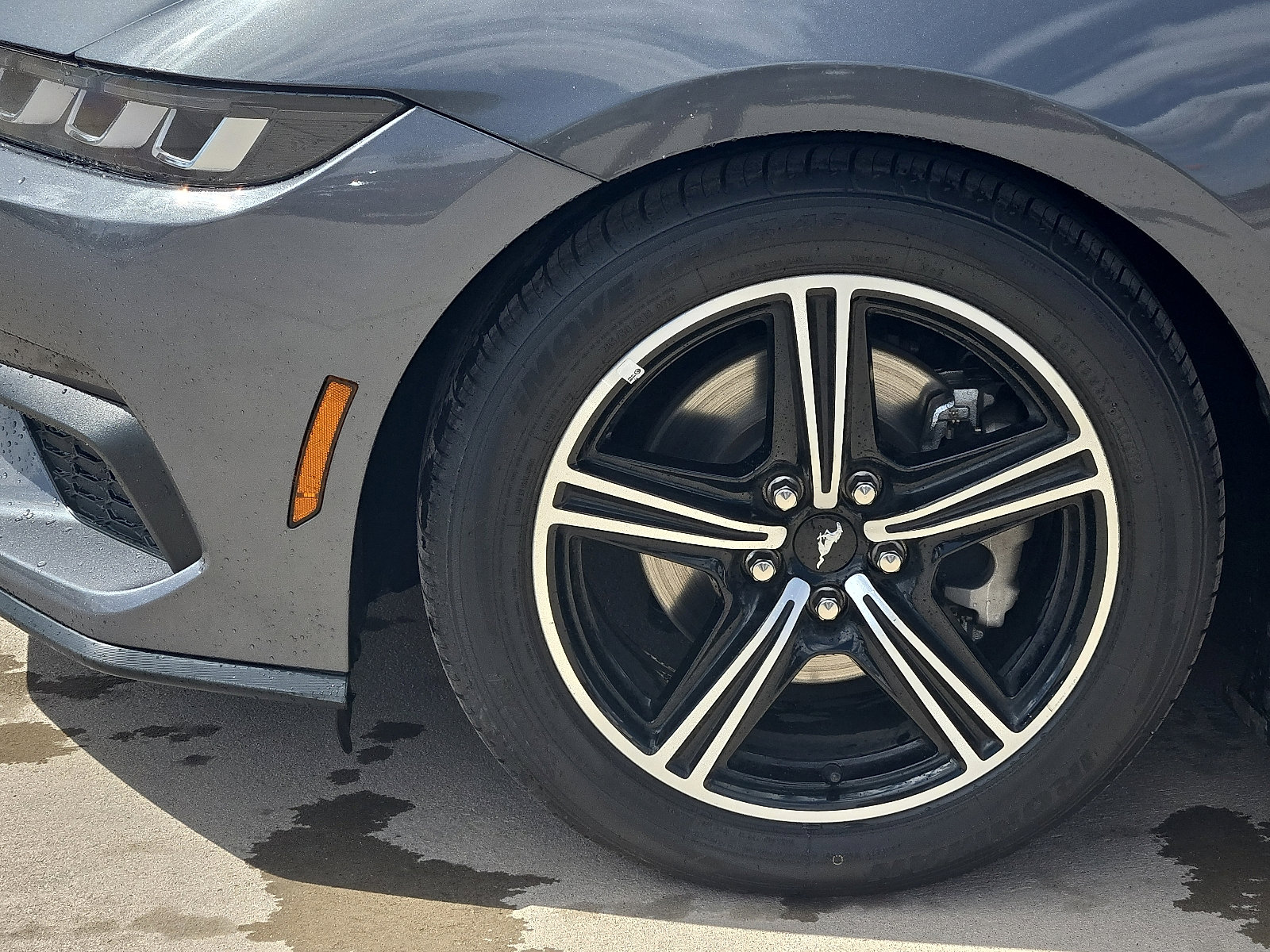 2024 Ford Mustang EcoBoost Premium - Photo 6