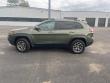 2020 Jeep Cherokee Trailhawk SUV 2020 Jeep Cherokee Trailhawk SUV