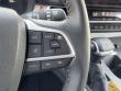 2025 Toyota Sienna XLE Minivan/Van