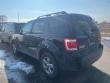 2008 Ford Escape XLT SUV