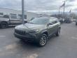 2020 Jeep Cherokee Trailhawk SUV 2020 Jeep Cherokee Trailhawk SUV