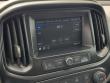 2020 Chevrolet Colorado Work Truck Truck