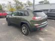 2020 Jeep Cherokee Trailhawk SUV 2020 Jeep Cherokee Trailhawk SUV
