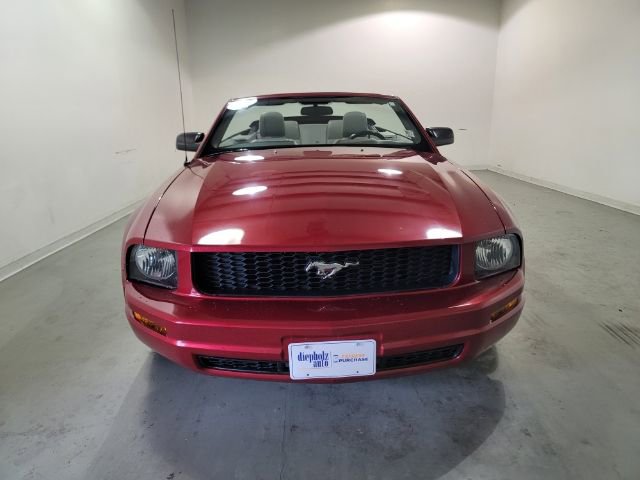 Used 2009 Ford Mustang Premium with VIN 1ZVHT84N195104654 for sale in Charleston, IL