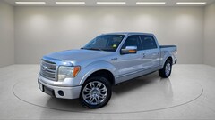 2010 Ford F-150 Platinum Crew Cab Truck