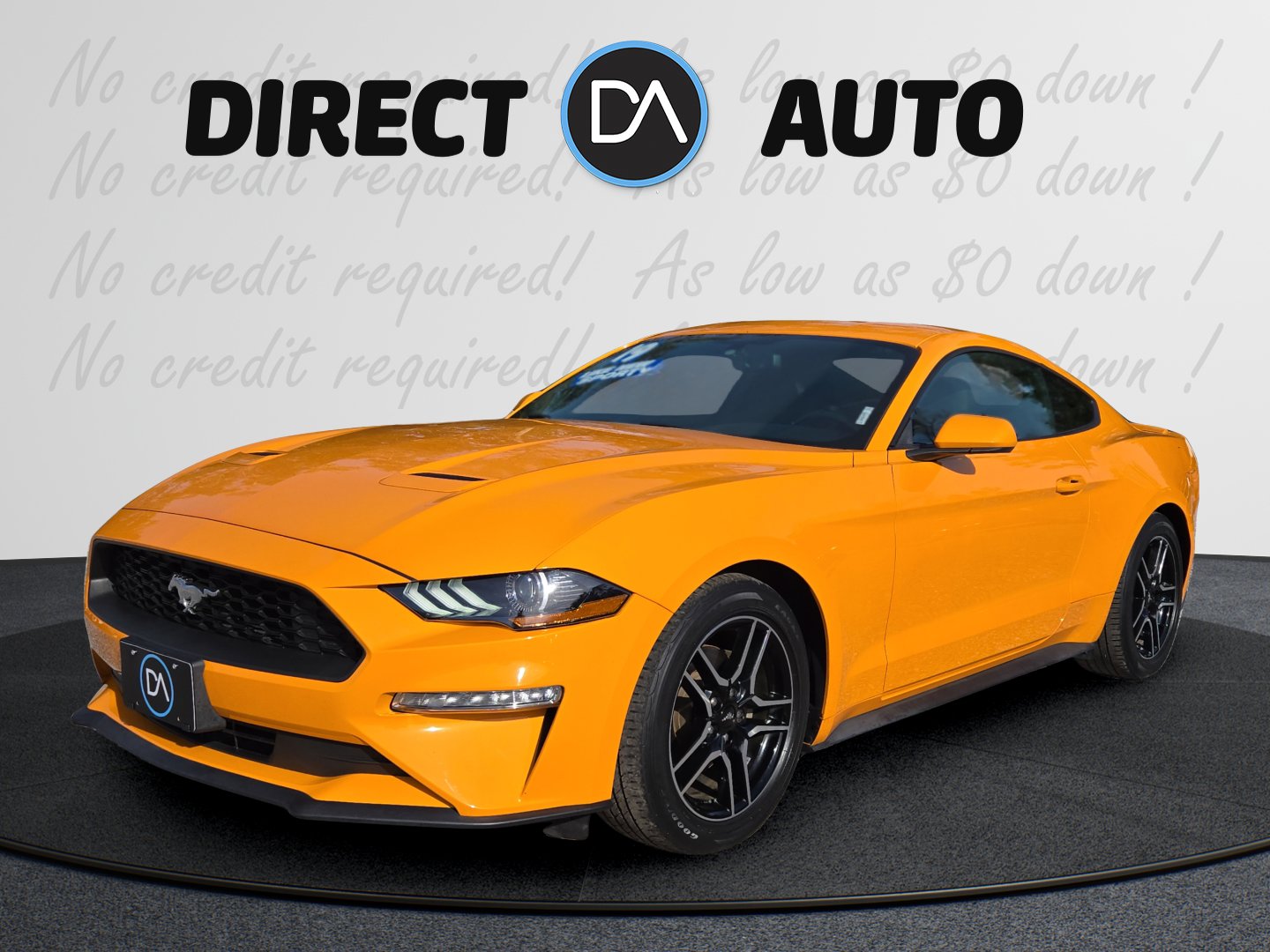 2019 Ford Mustang EcoBoost's photo