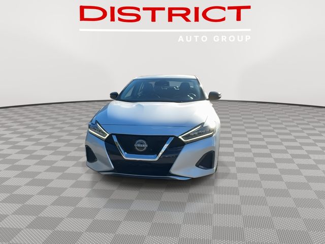 2023 Nissan Maxima SV photo 3
