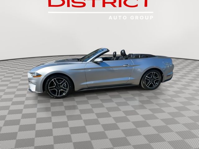 2022 Ford Mustang EcoBoost Premium photo 4