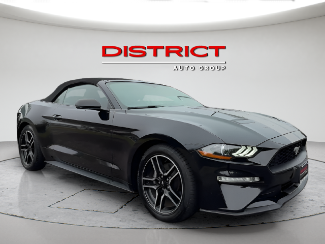 2019 Ford Mustang