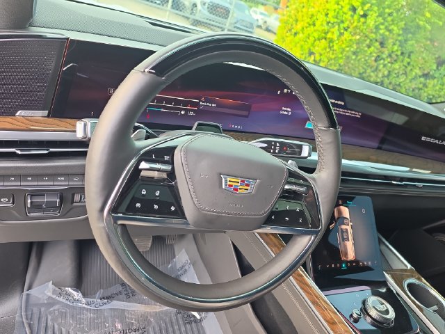 2025 Cadillac Escalade ESV Premium Luxury Platinum - Photo 20