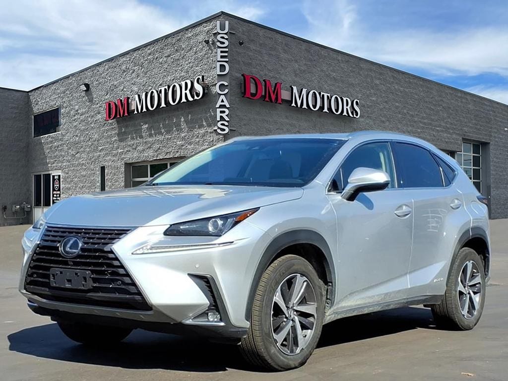 2019 Lexus NX Hybrid 300h's photo