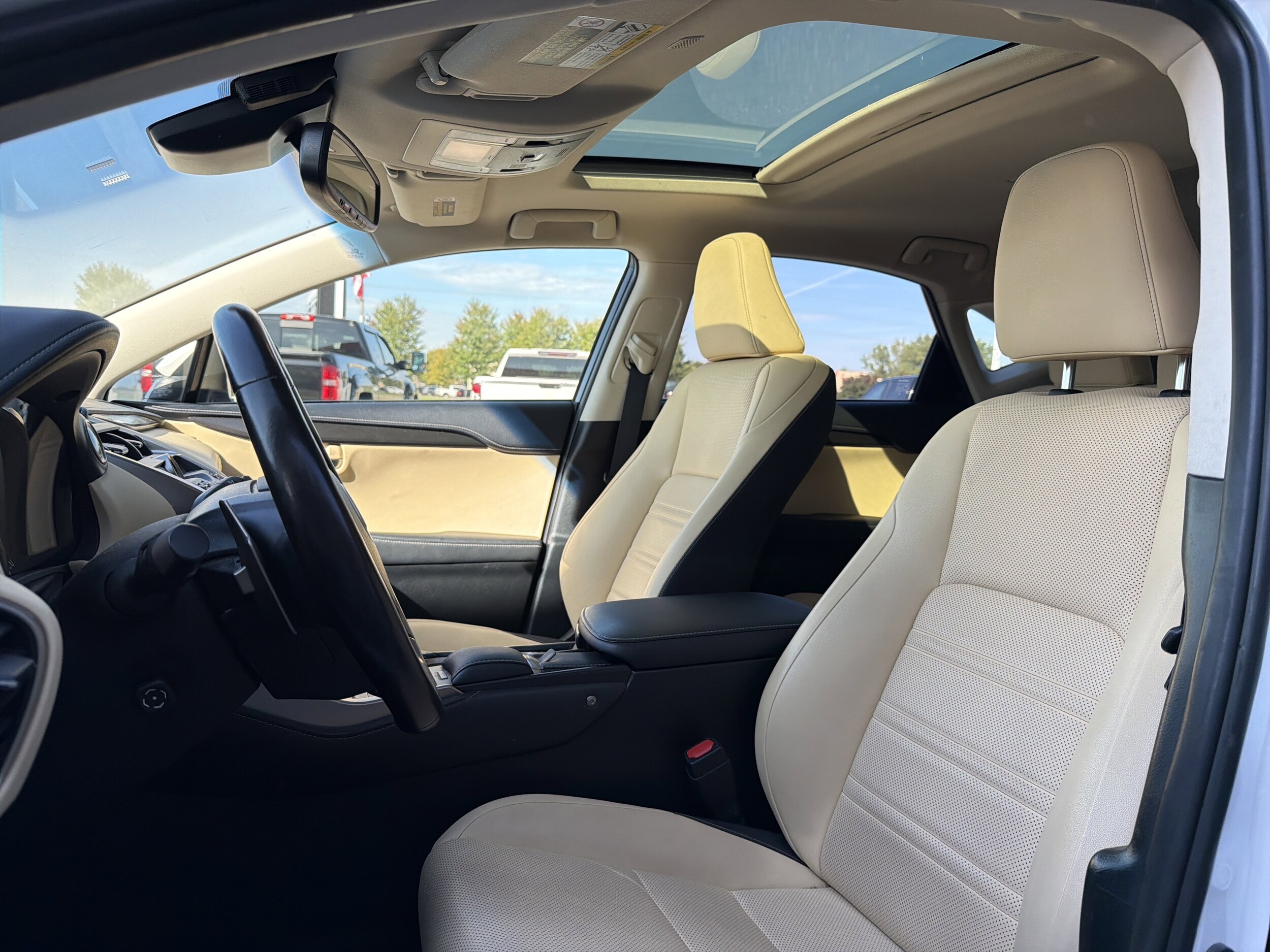 2019 Lexus NX 300 Luxury photo 3