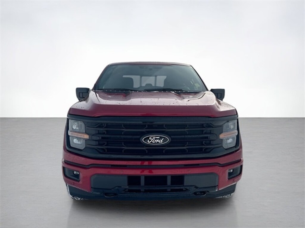 New 2025 Ford F-150 XLT Truck