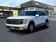  Hyundai Palisade Hybrid